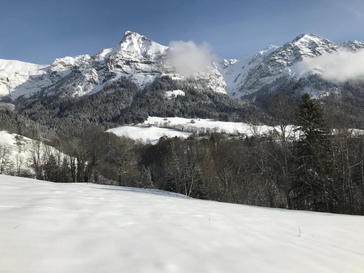 Magnifique T3 Entre Et Montagne Pres D'annecy *